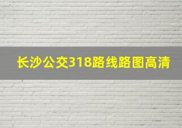 长沙公交318路线路图高清