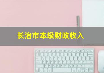 长治市本级财政收入