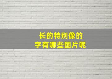 长的特别像的字有哪些图片呢