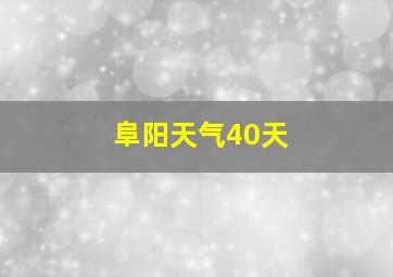 阜阳天气40天