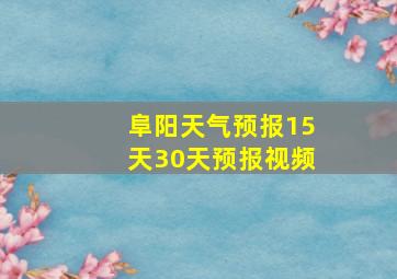 阜阳天气预报15天30天预报视频