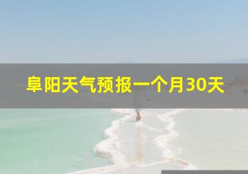 阜阳天气预报一个月30天