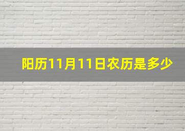 阳历11月11日农历是多少