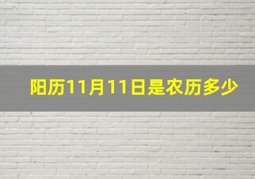 阳历11月11日是农历多少