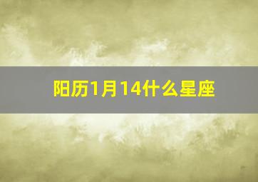 阳历1月14什么星座