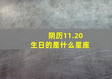 阴历11.20生日的是什么星座