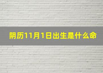 阴历11月1日出生是什么命