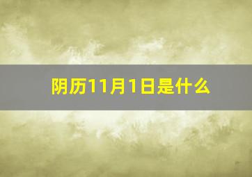 阴历11月1日是什么