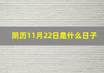 阴历11月22日是什么日子