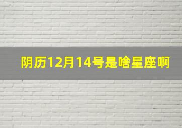 阴历12月14号是啥星座啊