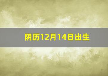 阴历12月14日出生