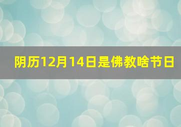 阴历12月14日是佛教啥节日