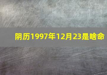 阴历1997年12月23是啥命