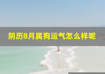 阴历8月属狗运气怎么样呢