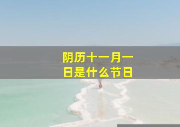 阴历十一月一日是什么节日