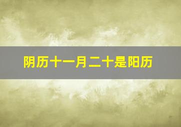 阴历十一月二十是阳历