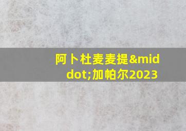 阿卜杜麦麦提·加帕尔2023