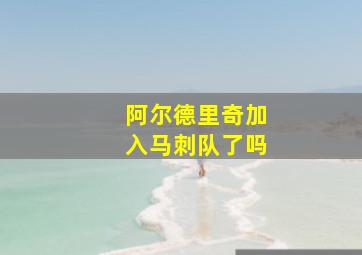 阿尔德里奇加入马刺队了吗