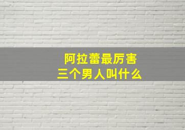 阿拉蕾最厉害三个男人叫什么