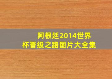 阿根廷2014世界杯晋级之路图片大全集