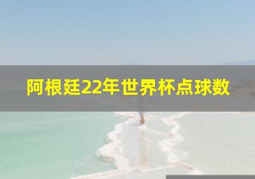 阿根廷22年世界杯点球数