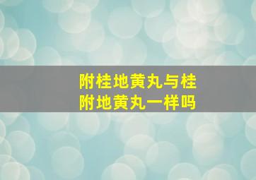 附桂地黄丸与桂附地黄丸一样吗