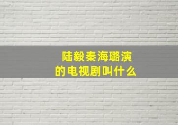 陆毅秦海璐演的电视剧叫什么