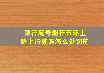 限行尾号能在五环主路上行驶吗怎么处罚的