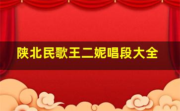 陕北民歌王二妮唱段大全