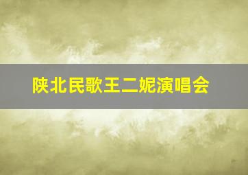 陕北民歌王二妮演唱会