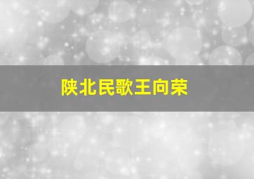 陕北民歌王向荣