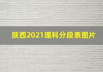 陕西2021理科分段表图片