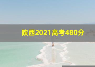 陕西2021高考480分