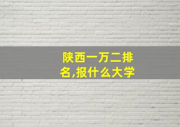 陕西一万二排名,报什么大学