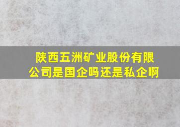 陕西五洲矿业股份有限公司是国企吗还是私企啊