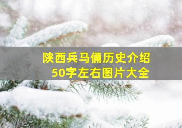 陕西兵马俑历史介绍50字左右图片大全