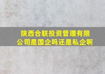 陕西合联投资管理有限公司是国企吗还是私企啊