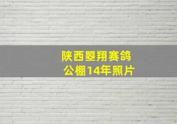 陕西曌翔赛鸽公棚14年照片