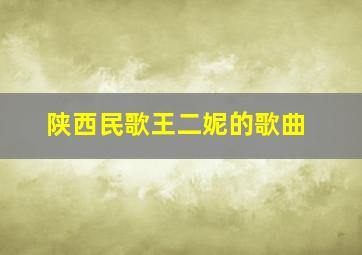 陕西民歌王二妮的歌曲