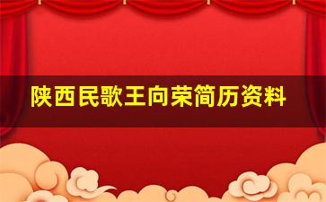 陕西民歌王向荣简历资料