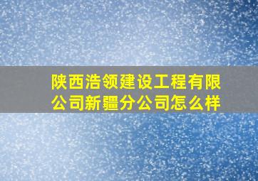 陕西浩领建设工程有限公司新疆分公司怎么样