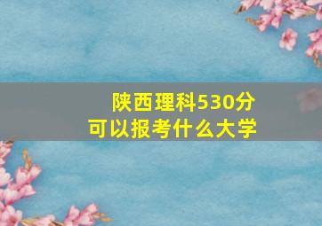 陕西理科530分可以报考什么大学