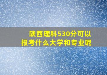 陕西理科530分可以报考什么大学和专业呢