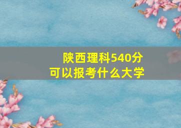 陕西理科540分可以报考什么大学