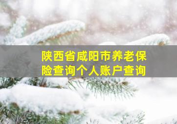 陕西省咸阳市养老保险查询个人账户查询