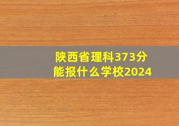 陕西省理科373分能报什么学校2024