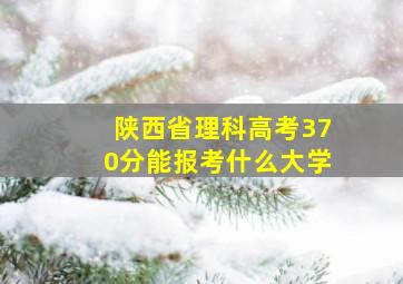 陕西省理科高考370分能报考什么大学