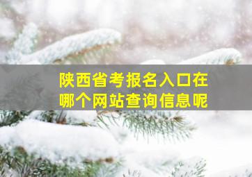 陕西省考报名入口在哪个网站查询信息呢