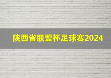 陕西省联盟杯足球赛2024