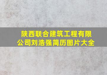 陕西联合建筑工程有限公司刘浩强简历图片大全